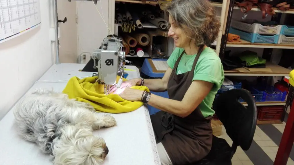 Femme souriante cousant un tissu jaune à la machine, avec un petit chien blanc endormi sur la table.