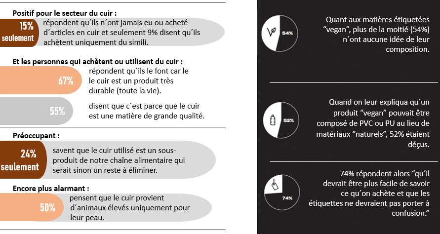 Infographie cuir
